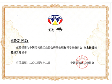 無機鹽工業協會磷（lín）酸鐵鋰行業專業委員會副（fù）主任委員證書