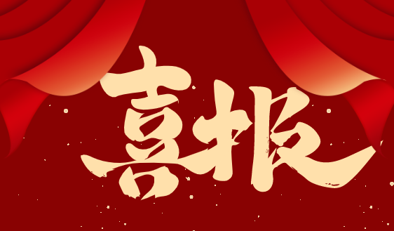 喜報|江蘇先（xiān）鋒榮獲專精特新“小巨人”稱號