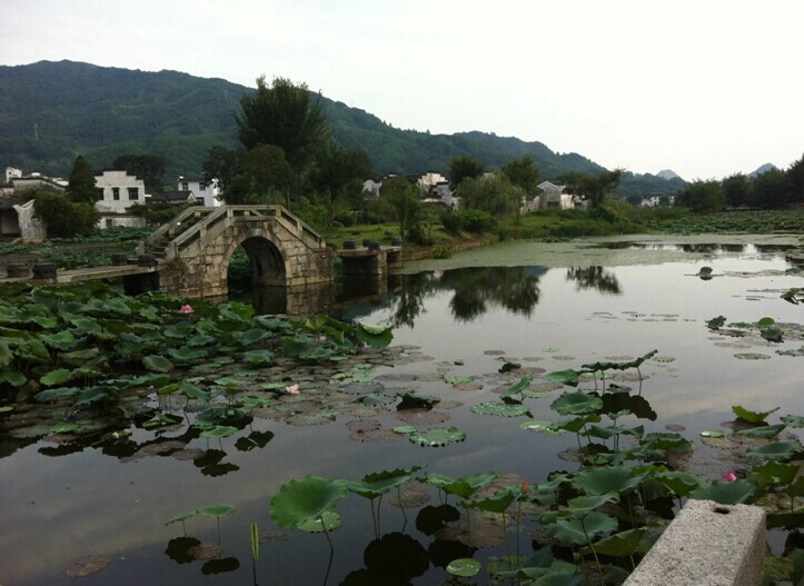 八戒影院旅遊